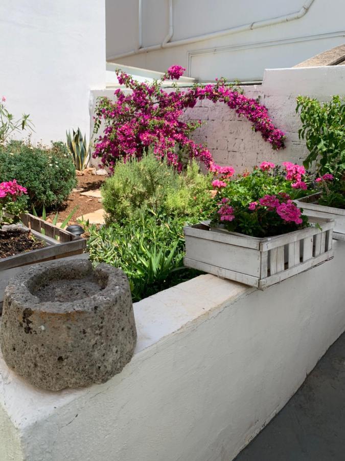 Le Cummerse In Centro Αλμπερομπέλο Εξωτερικό φωτογραφία